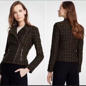 Ann Taylor Tweed Moto Jacket Size 18